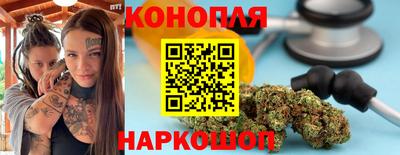 apvp Славгород