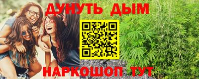 apvp Славгород