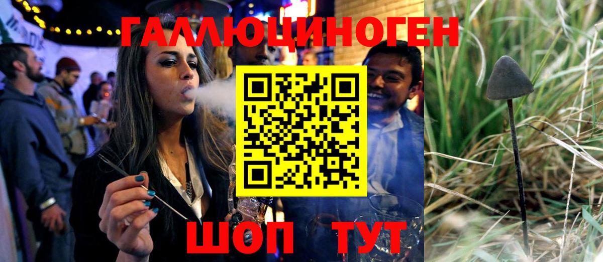 Обь  Галлюциногенные грибы Psilocybine cubensis  Вход с VPN 